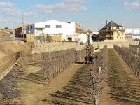 Estudo geológico e geotécnico para o projecto de construção. Melhoria geral. Nova estrada de Térmens a Menàrguens. Da C 13 à C 12.