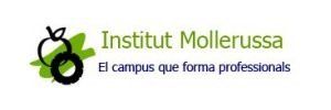 Institut mollerussa Lérida Institut mollerussa Lérida