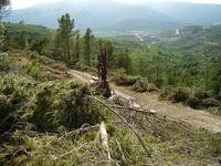 Campagne géotechnique complémentaire pour le tunnel Coll de l'Illa. Autoroute A 27 à Tarragone.