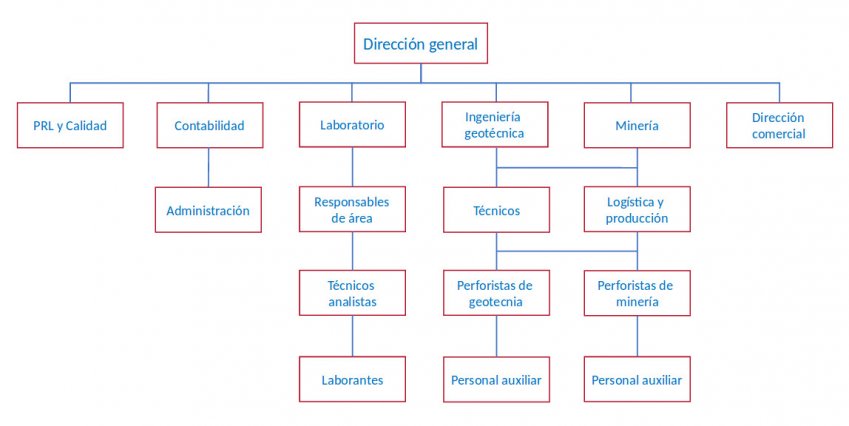 Organización